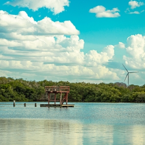 Enjoy the summer in the Yucatan Beaches